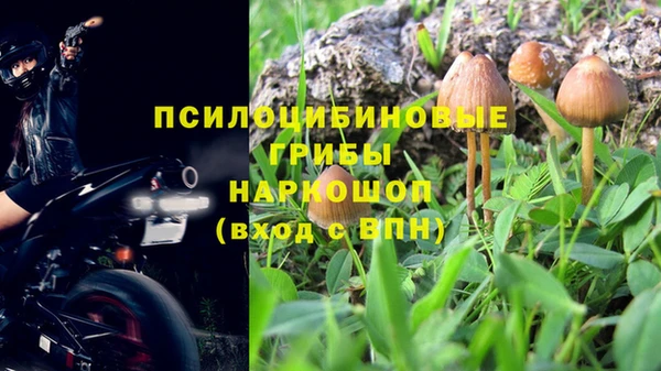 стаф Арсеньев