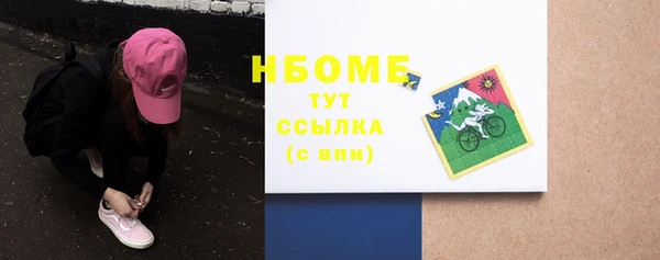 хмурый Аркадак