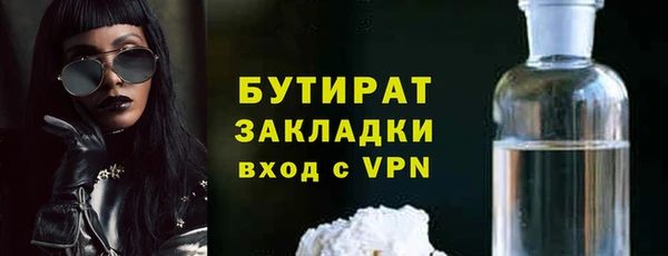 хмурый Аркадак