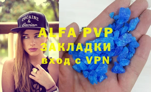 хмурый Аркадак