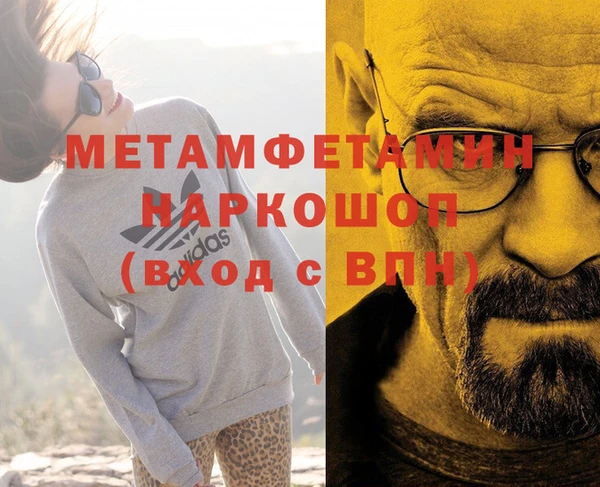 хмурый Аркадак