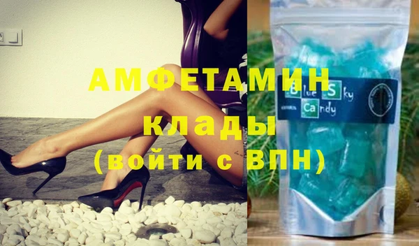 хмурый Аркадак