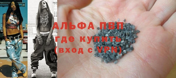 хмурый Аркадак