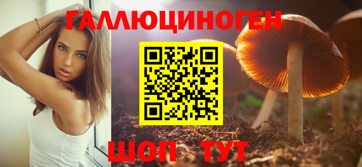 Галлюциногенные грибы GOLDEN TEACHER  Вход с VPN  Нурлат 